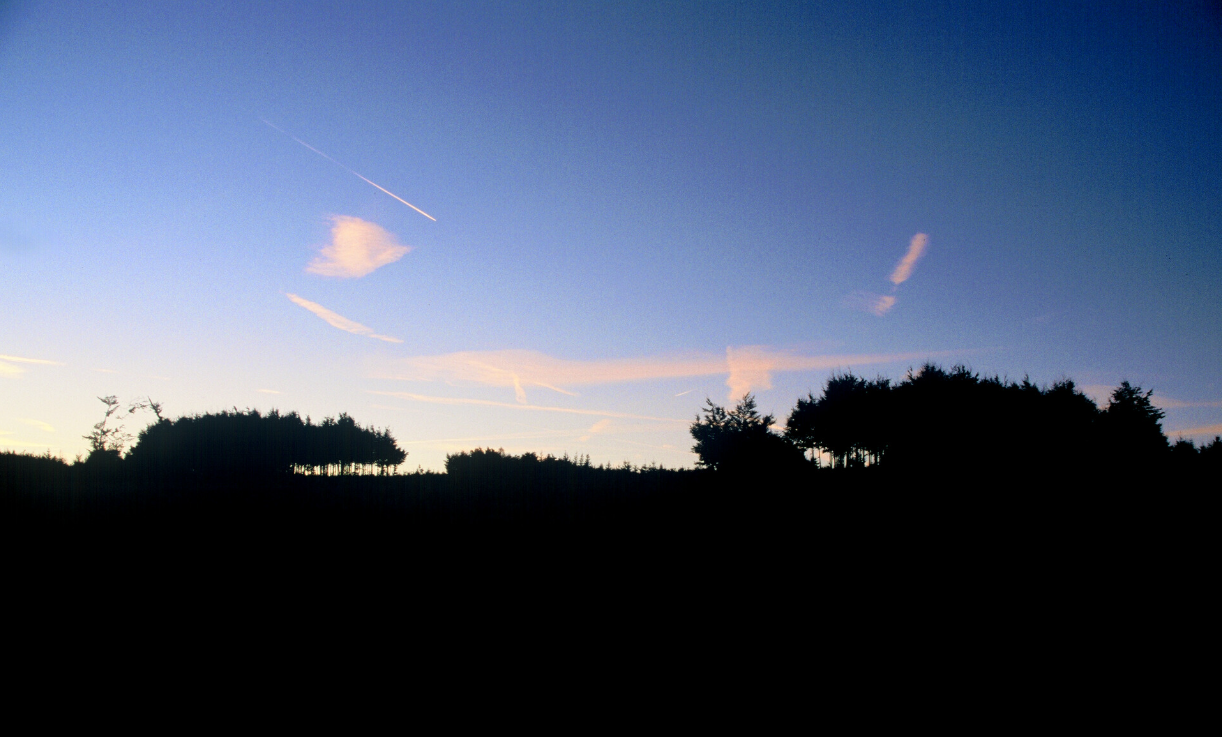 Remains of the day